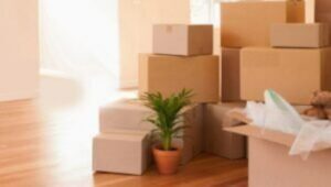 Packers and Movers Sector 21C Faridabad