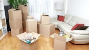 Packers and Movers Noida Extension