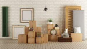 Packers and Movers Friends Colony